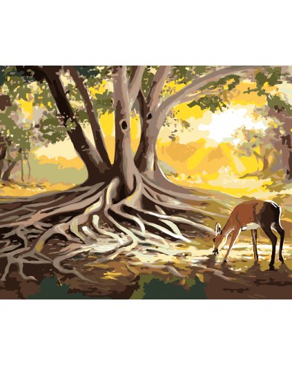 Maľovanie podľa čísel - LAŇ PRI KORENI STROMU (D. RUSTY RUST)