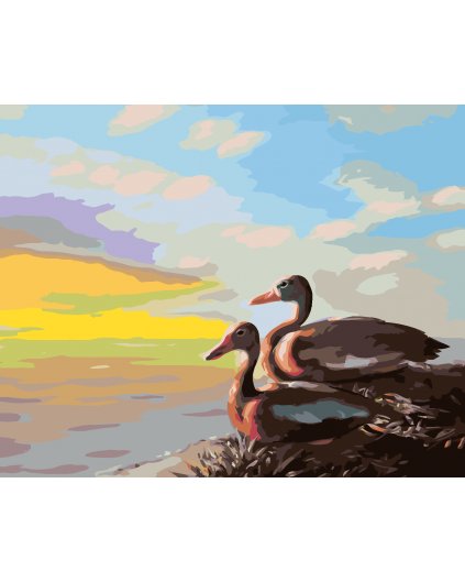 Maľovanie podľa čísel - KAČKY (D. RUSTY RUST)
