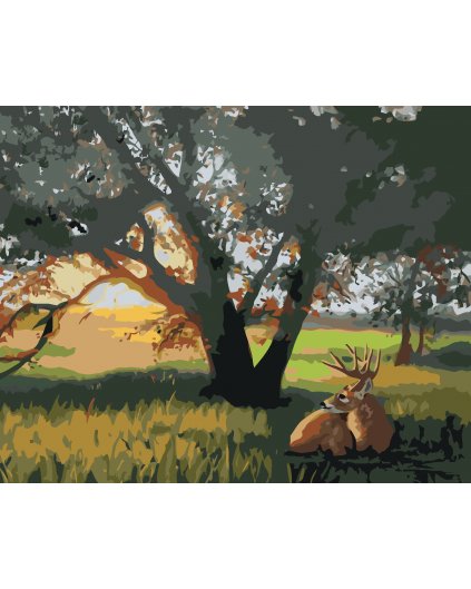Maľovanie podľa čísel - JELEŇ POD STROMOM (D. RUSTY RUST)