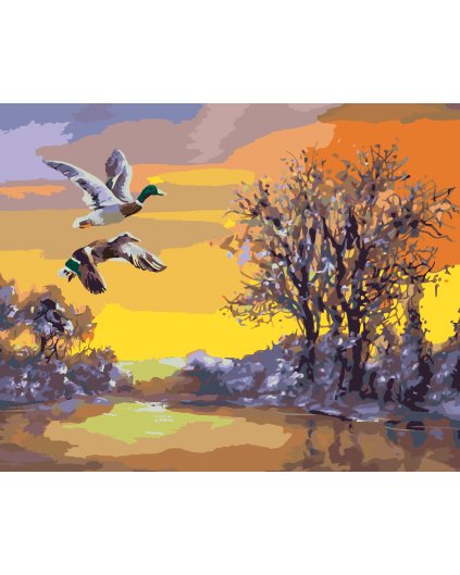 Maľovanie podľa čísel - LETIACE KAČKY NAD RIEKOU V ZIME (D. RUSTY RUST)