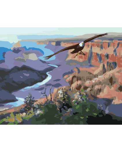 Maľovanie podľa čísel - OROL A RYBA (D. RUSTY RUST)