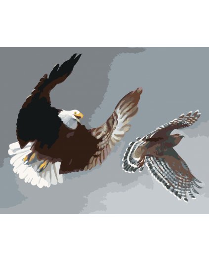 Maľovanie podľa čísel - OROL A KAŇA (D. RUSTY RUST)