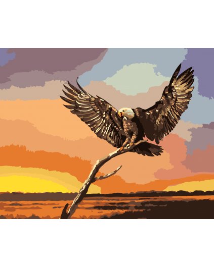 Maľovanie podľa čísel - OROL NA KONÁRI (D. RUSTY RUST)