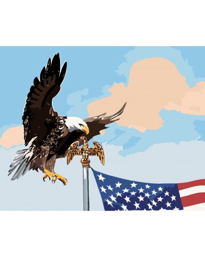 Maľovanie podľa čísel - OROL PRI STOŽIARE VLAJKY USA (D. RUSTY RUST)