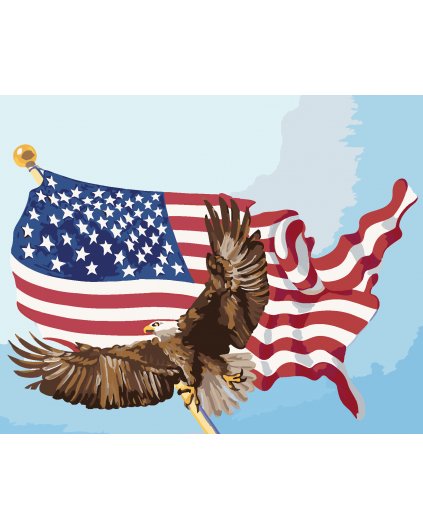 Maľovanie podľa čísel - OROL NA STOŽIARE VLAJKY USA (D. RUSTY RUST)