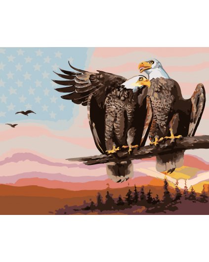 Maľovanie podľa čísel - DVA ORLI (D. RUSTY RUST)