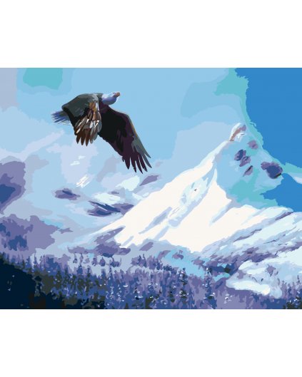 Maľovanie podľa čísel - OROL NAD VODOU V ZIME (D. RUSTY RUST)