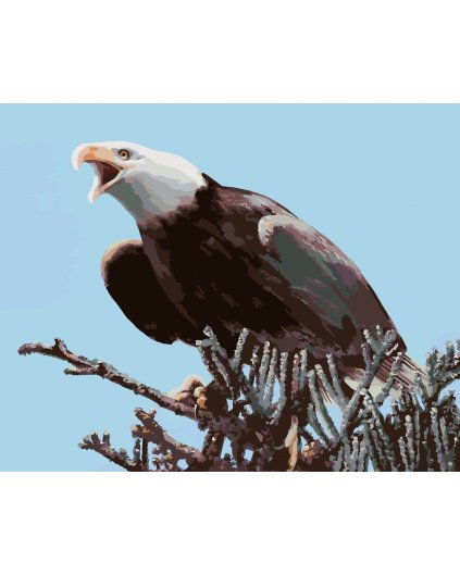 Maľovanie podľa čísel - OROL NA VETVIČKE (D. RUSTY RUST)