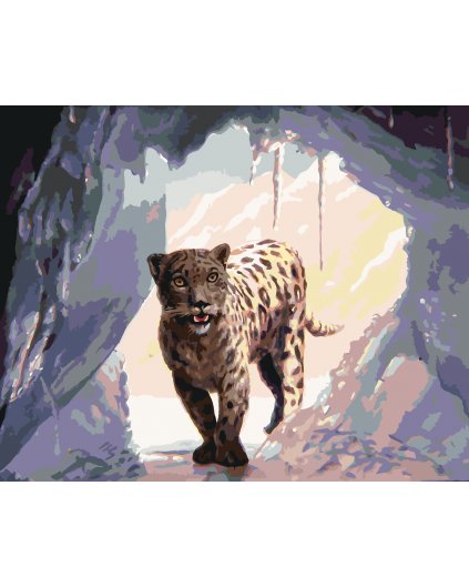 Maľovanie podľa čísel - SNEŽNÝ LEOPARD (D. RUSTY RUST)