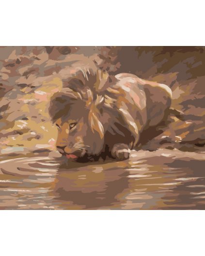 Maľovanie podľa čísel - MLADÝ LEV PRI NAPÁJADLE (D. RUSTY RUST)