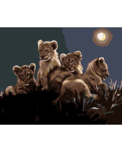 Maľovanie podľa čísel - LEVÍČATÁ (D. RUSTY RUST)