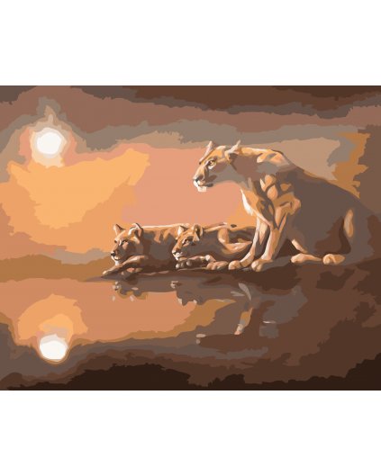 Maľovanie podľa čísel - LEVICA PRI VODE (D. RUSTY RUST)