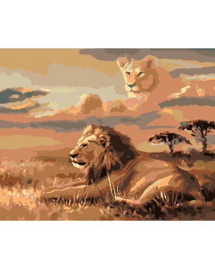 Maľovanie podľa čísel - LEV A ILÚZIA LEVICE (D. RUSTY RUST)