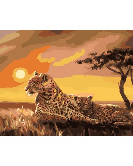 Maľovanie podľa čísel - LEOPARDY (D. RUSTY RUST)