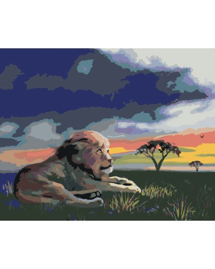 Maľovanie podľa čísel - LEV NA TRÁVE PRI ZÁPADE SLNKA (D. RUSTY RUST)