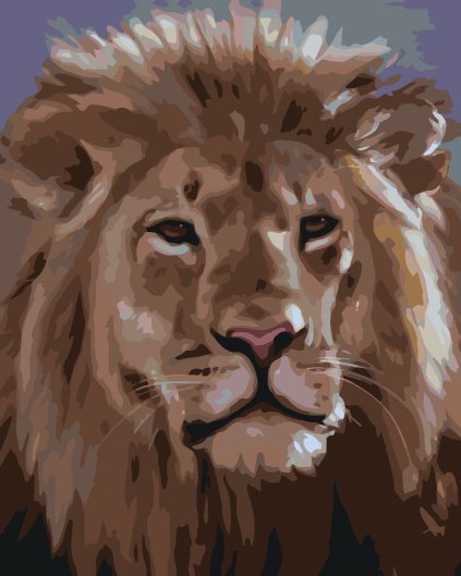 Maľovanie podľa čísel - LEVIA HLAVA (D. RUSTY RUST)