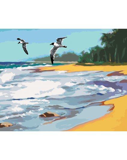Maľovanie podľa čísel - VTÁKY LETIACE NAD PLÁŽOU (D. RUSTY RUST)