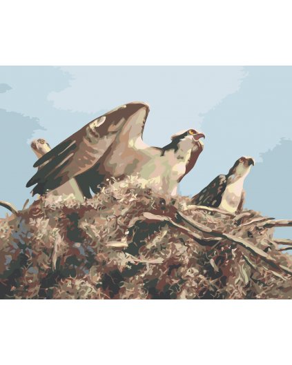 Maľovanie podľa čísel - OROL V HNIEZDE (D. RUSTY RUST)