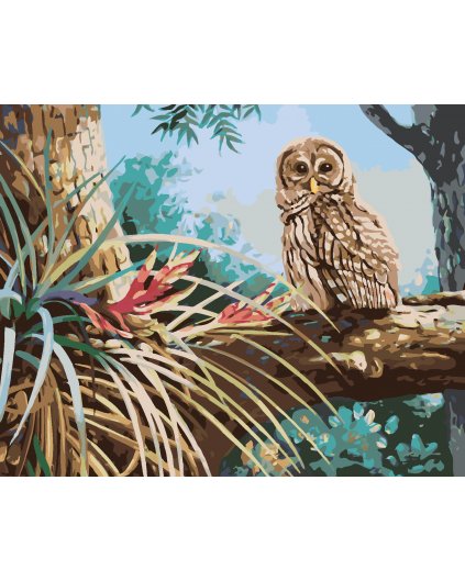 Maľovanie podľa čísel - SOVA V LESE (D. RUSTY RUST)