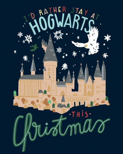 Maľovanie podľa čísel - VIANOCE V RHOKFORTHE(HARRY POTTER)