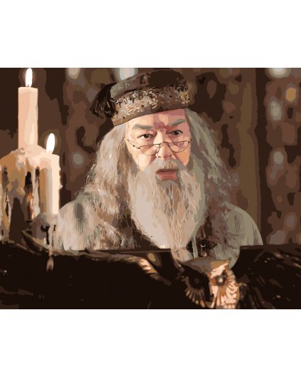 Maľovanie podľa čísel - DUMBLEDORE PRI SOVIOM REČNÍCKOM PULTE (HARRY POTTER)