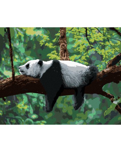 Diamantové maľovanie - PANDA LEŽIACA NA STROME