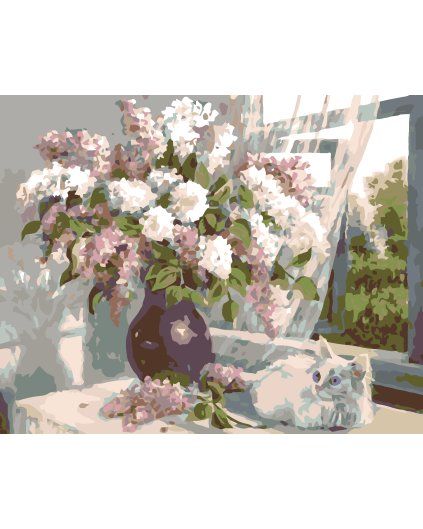 processed image