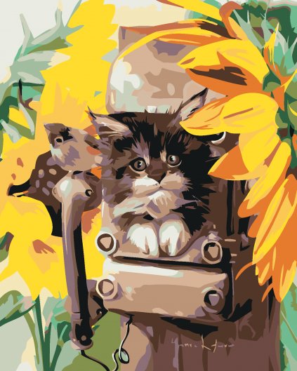 Maľovanie podľa čísel - MAČIATKO V BÚDKE A SLNEČNICA