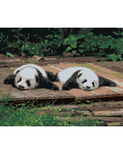 Diamantové maľovanie - PANDA LEŽIACA NA DREVE