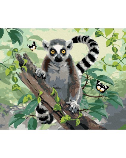 Diamantové maľovanie - LEMUR A MOTÝLE (HOWARD ROBINSON)