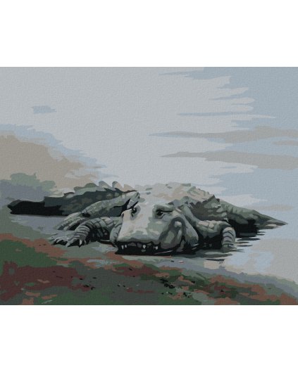 Diamantové maľovanie - ALIGÁTOR LEŽIACI PRI VODE IV (D. RUSTY RUST)