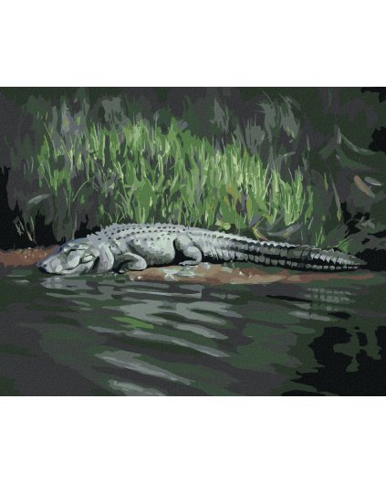 Diamantové maľovanie - ALIGÁTOR LEŽIACI PRI VODE V (D. RUSTY RUST)