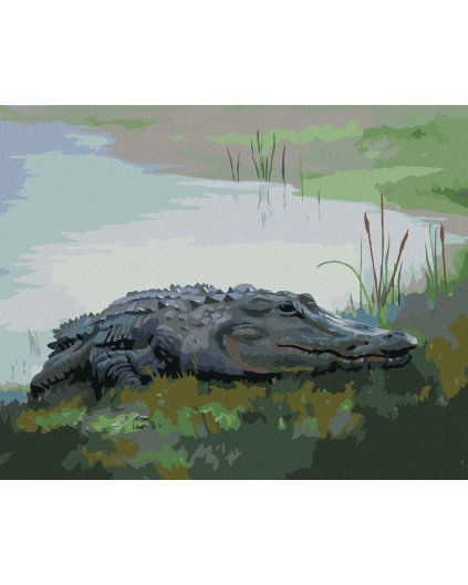 Diamantové maľovanie - ALIGÁTOR LEŽIACI PRI VODE VI (D. RUSTY RUST)