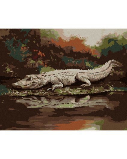 Diamantové maľovanie - ALIGÁTOR LEŽIACI PRI VODE VII (D. RUSTY RUST)