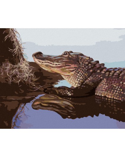 Diamantové maľovanie - ALIGÁTOR PRI KMENI VO VODE (D. RUSTY RUST)