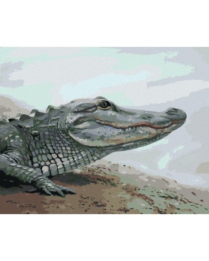 Diamantové maľovanie - ALIGÁTOR PRI VODE (D. RUSTY RUST)