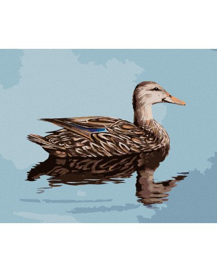 Diamantové maľovanie - KAČICA PLÁVAJÚCA PO VODE (D. RUSTY RUST)