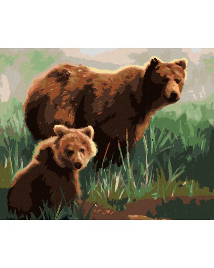 Diamantové maľovanie - MEDVEĎ S MLÁĎAŤOM V TRÁVE (D. RUSTY RUST)