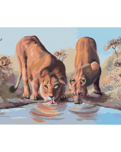 Diamantové maľovanie - MLADÝ LEV A LEVICA PRI NAPÁJADLE (D. RUSTY RUST)