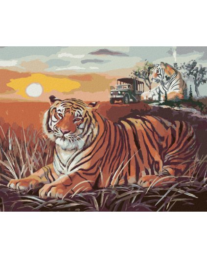 Diamantové maľovanie - TIGER A ZÁPAD SLNKA NA SAVANE (D. RUSTY RUST)