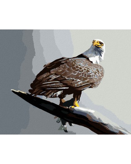 Diamantové maľovanie - OROL NA ŠEDOM POZADÍ (D. RUSTY RUST)