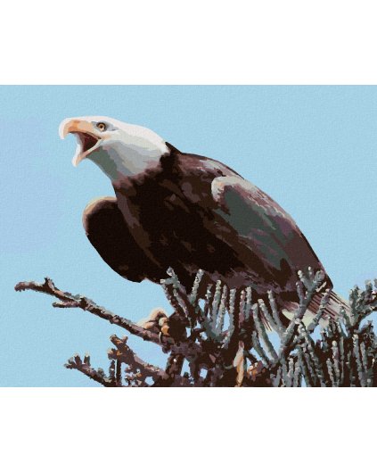 Diamantové maľovanie - OROL NA VETVIČKE (D. RUSTY RUST)