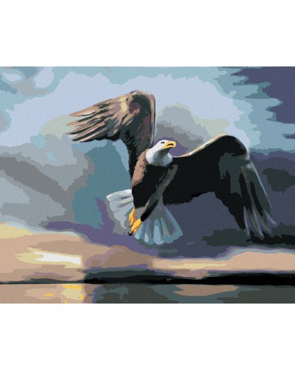 Diamantové maľovanie - OROL NAD VODOU, TMAVÉ POZADIE (D. RUSTY RUST)