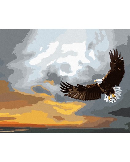 Diamantové maľovanie - OROL POČAS BÚRKY (D. RUSTY RUST)