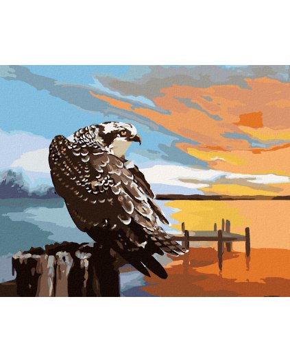 Diamantové maľovanie - OROL, MÓLO A ZÁPAD SLNKA (D. RUSTY RUST)