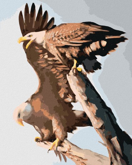 Diamantové maľovanie - ORLÍ PÁR (D. RUSTY RUST)