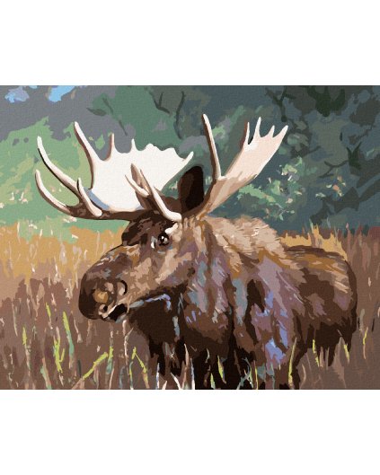 Diamantové maľovanie - OSAMELÝ LOS (D. RUSTY RUST)