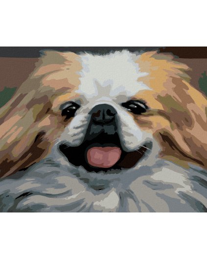 Diamantové maľovanie - PES - PORTRÉT (D. RUSTY RUST)