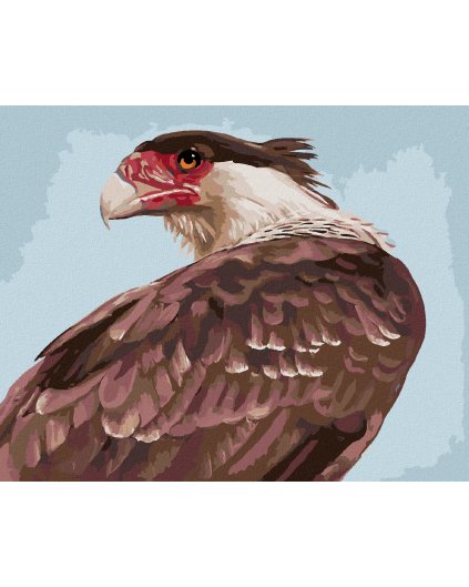 Diamantové maľovanie - POHĽAD SUPA (D. RUSTY RUST)