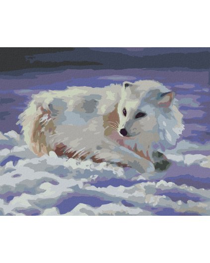 Diamantové maľovanie - POLÁRNA LÍŠKA NA SNEHU (D. RUSTY RUST)